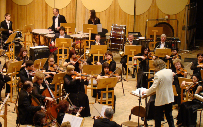 Intimate vs Large-Scale Concerts Understanding the Differences and Impact on Audience Experience